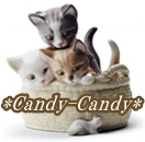 Cattery Candy Candy