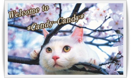 ようこそ *Candy-Candy* へ