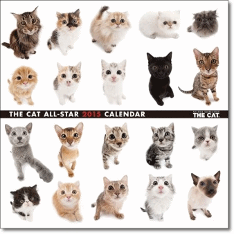 THE CAT ALL-STAR 2015カレンダー