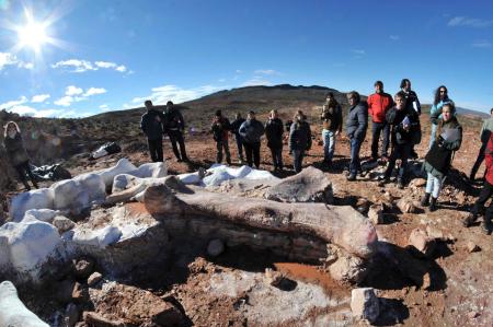 世界最大の恐竜か、アルゼンチンで化石発見…全長は約40m、体重は77トンと推定、高さは7階建てのビルに相当