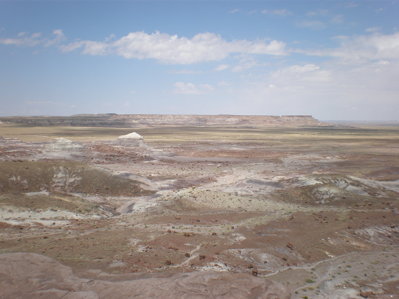 Petrified Forest National Park3