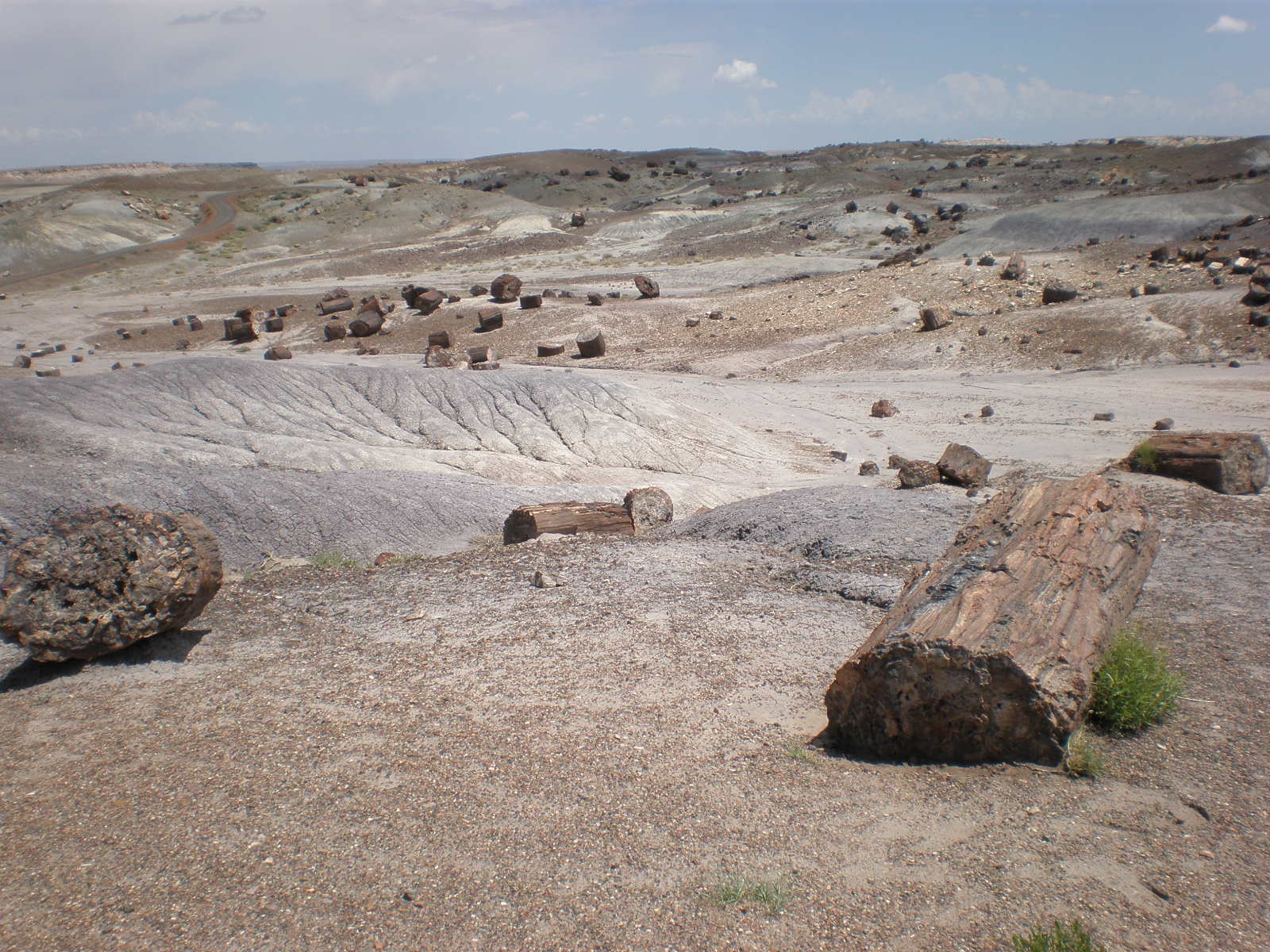Petrified Forest National Park4