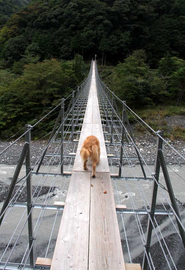 吊り橋ツアー(3)