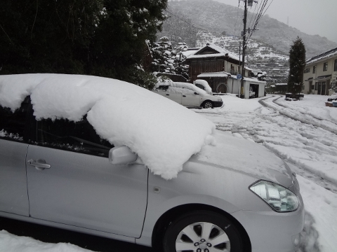 車に大雪！！