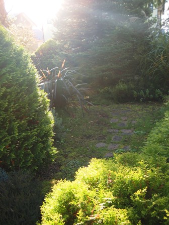 my-garden 075