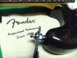 Fender20.jpg